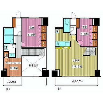 東京都板橋区成増１丁目 賃貸マンション 2SLDK