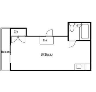 東京都新宿区下落合３丁目 賃貸マンション 1R