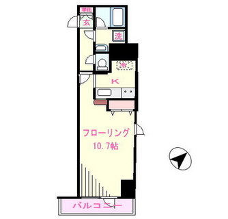 東京都豊島区西池袋５丁目 賃貸マンション 1R